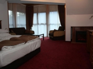 Hotel Cumpatu 4* - Sinaia 2